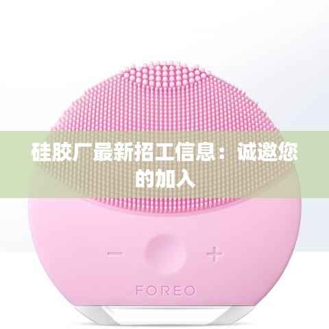 贵险贱璧 第4页