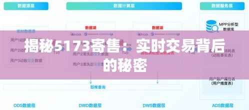 揭秘5173寄售:实时交易背后的秘密