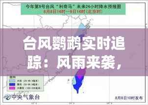 台风鹦鹉实时追踪:风雨来袭,我们准备好了吗?