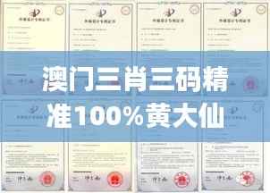 澳门三肖三码精准100%黄大仙353期,实地计划设计验证_豪华款9.322