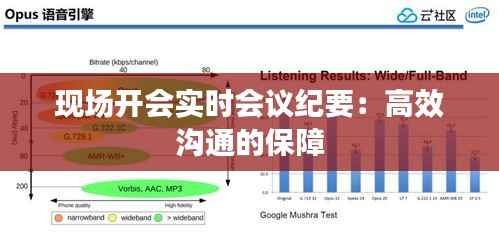 现场开会实时会议纪要:高效沟通的保障