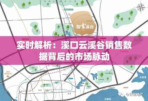 实时解析:溪口云溪谷销售数据背后的市场脉动