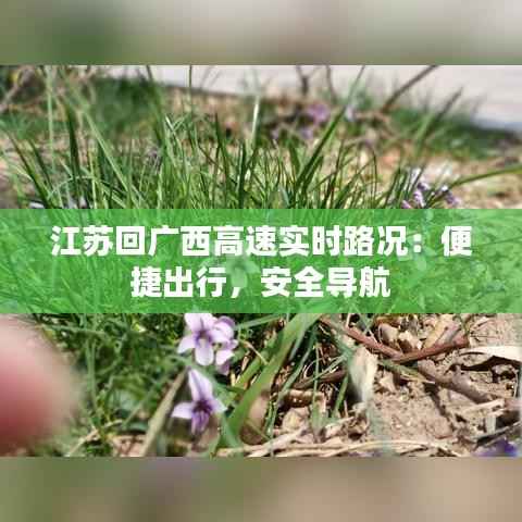 江苏回广西高速实时路况:便捷出行,安全导航