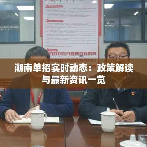 湖南单招实时动态：政策解读与最新资讯一览