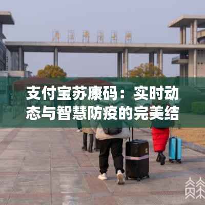 支付宝苏康码:实时动态与智慧防疫的完美结合