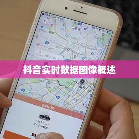 抖音实时数据图像概述