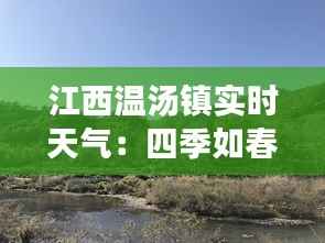 物以稀为贵 第3页