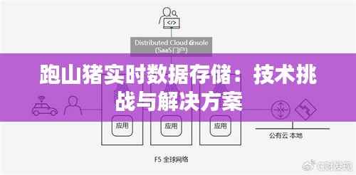 跑山猪实时数据存储:技术挑战与解决方案