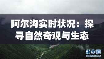 阿尔沟实时状况:探寻自然奇观与生态变迁