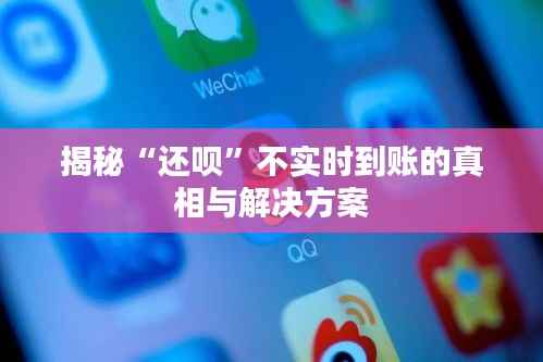 揭秘“还呗”不实时到账的真相与解决方案