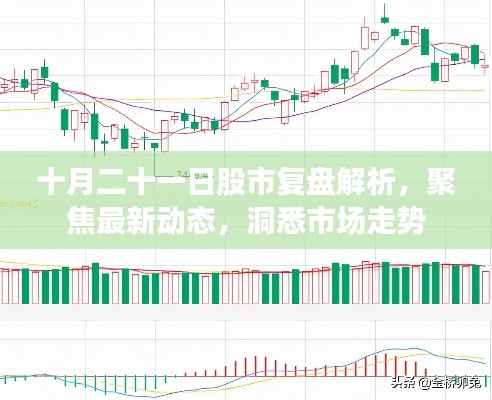 十月二十一日股市复盘解析,聚焦最新动态,洞悉市场走势
