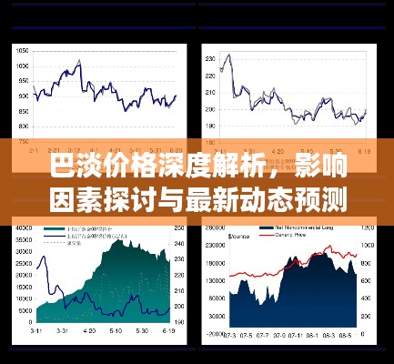 巴淡价格深度解析,影响因素探讨与最新动态预测