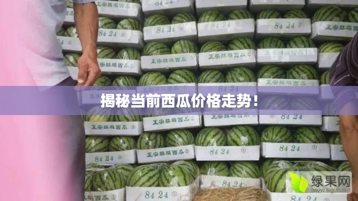 巧舌如簧 第3页