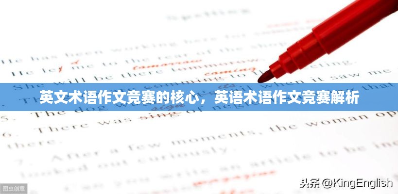 英文术语作文竞赛的核心,英语术语作文竞赛解析