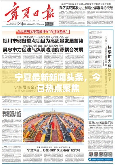 夯雀儿先飞 第4页