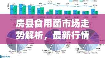 房县食用菌市场走势解析,最新行情报告来袭!