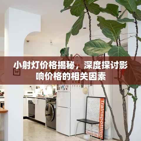 小射灯价格揭秘,深度探讨影响价格的相关因素