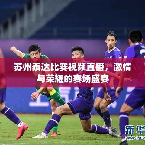 苏州泰达比赛视频直播，激情与荣耀的赛场盛宴
