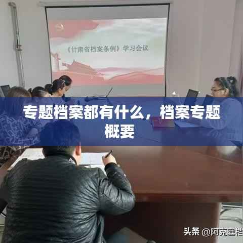 专题档案都有什么,档案专题概要