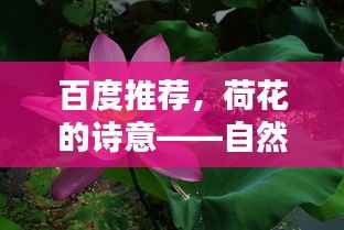 出境旅游 第138页