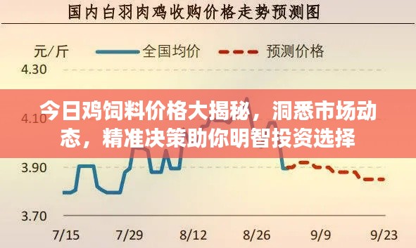 鸟飞兔走 第3页