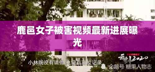 鹿邑女子被害视频最新进展曝光