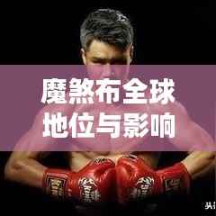 魔煞布全球地位与影响力深度探讨