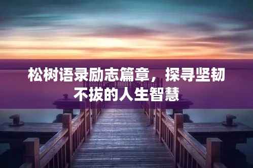 松树语录励志篇章,探寻坚韧不拔的人生智慧