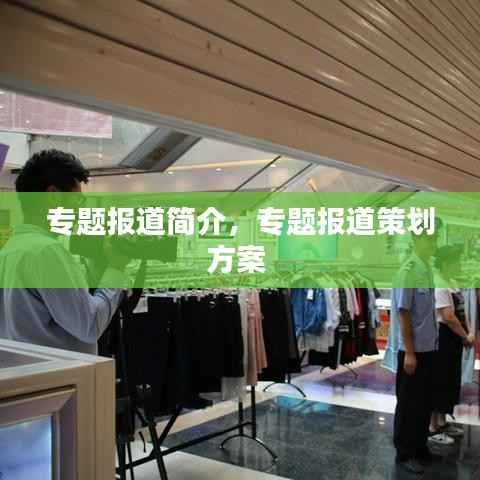 兵贵神速 第3页