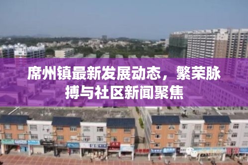 席州镇最新发展动态,繁荣脉搏与社区新闻聚焦