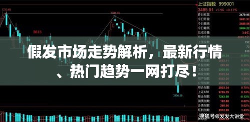 假发市场走势解析,最新行情、热门趋势一网打尽!