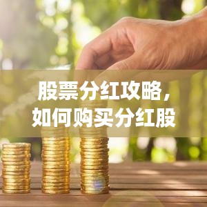 股票分红攻略,如何购买分红股票?