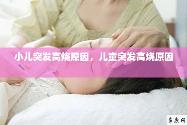 小儿突发高烧原因,儿童突发高烧原因