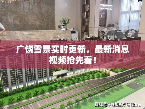 广饶雪景实时更新，最新消息视频抢先看！