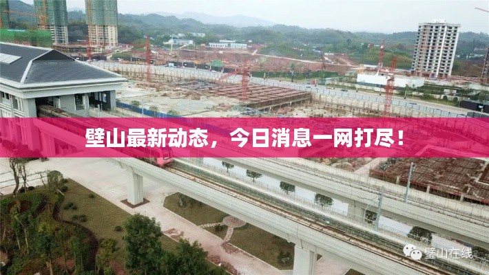 壁山最新动态,今日消息一网打尽!