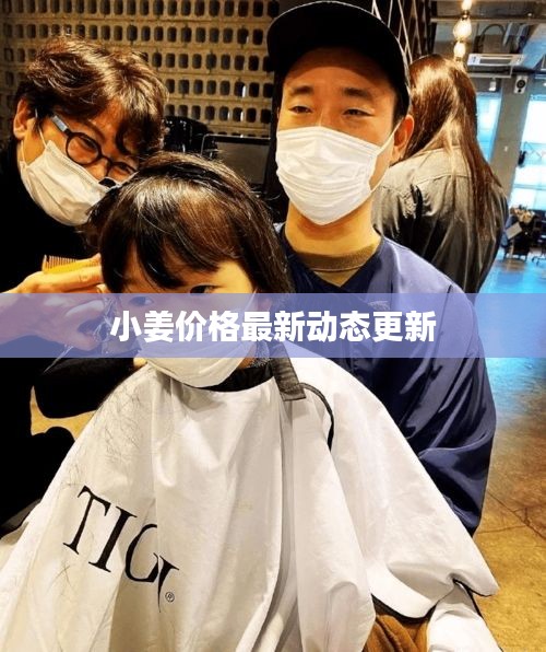 钗荆裙布 第2页