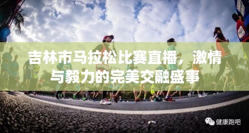 吉林市马拉松比赛直播,激情与毅力的完美交融盛事