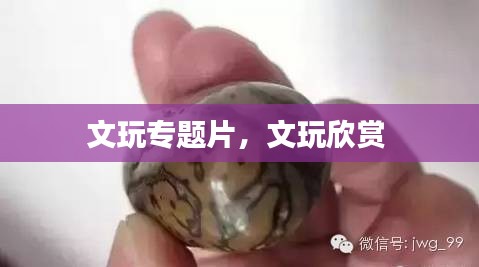 文玩专题片,文玩欣赏