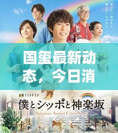 国玺最新动态,今日消息一网打尽