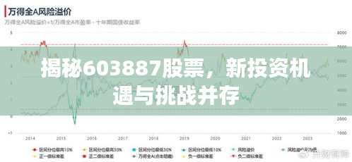 揭秘603887股票,新投资机遇与挑战并存