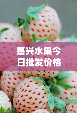 嘉兴水果今日批发价格一览,新鲜实惠不容错过