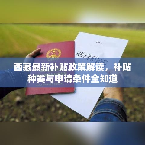 西藏最新补贴政策解读,补贴种类与申请条件全知道