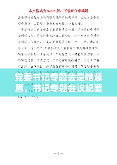 党委书记专题会是啥意思,书记专题会议纪要模板