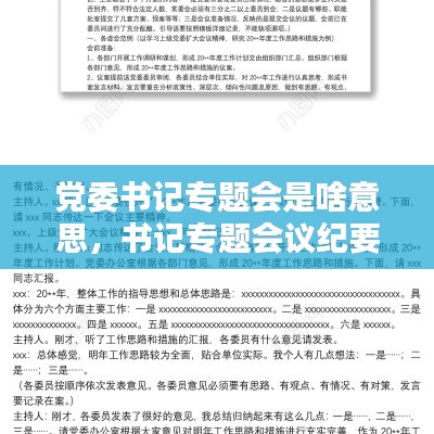 党委书记专题会是啥意思,书记专题会议纪要模板