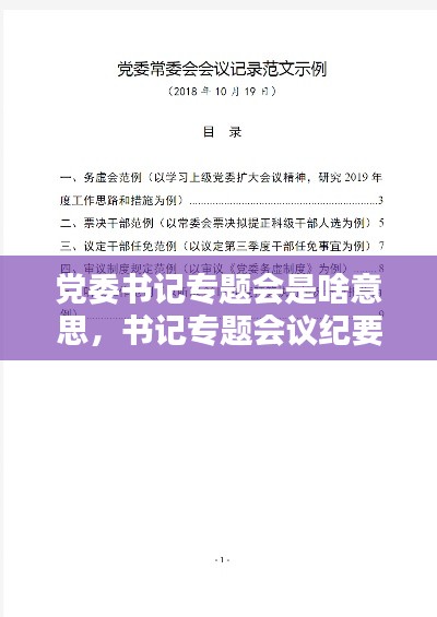 党委书记专题会是啥意思,书记专题会议纪要模板
