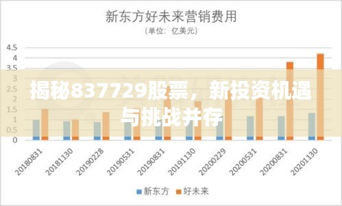 揭秘837729股票,新投资机遇与挑战并存