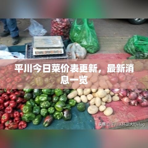 平川今日菜价表更新,最新消息一览