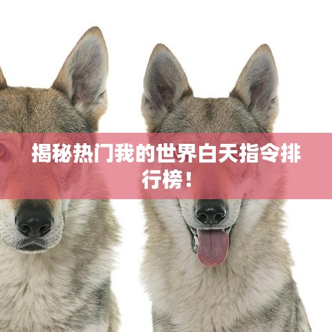 揭秘热门我的世界白天指令排行榜!