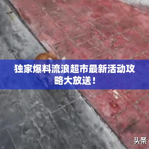 奔走如飞 第2页