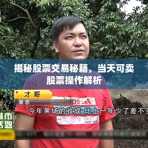 揭秘股票交易秘籍,当天可卖股票操作解析